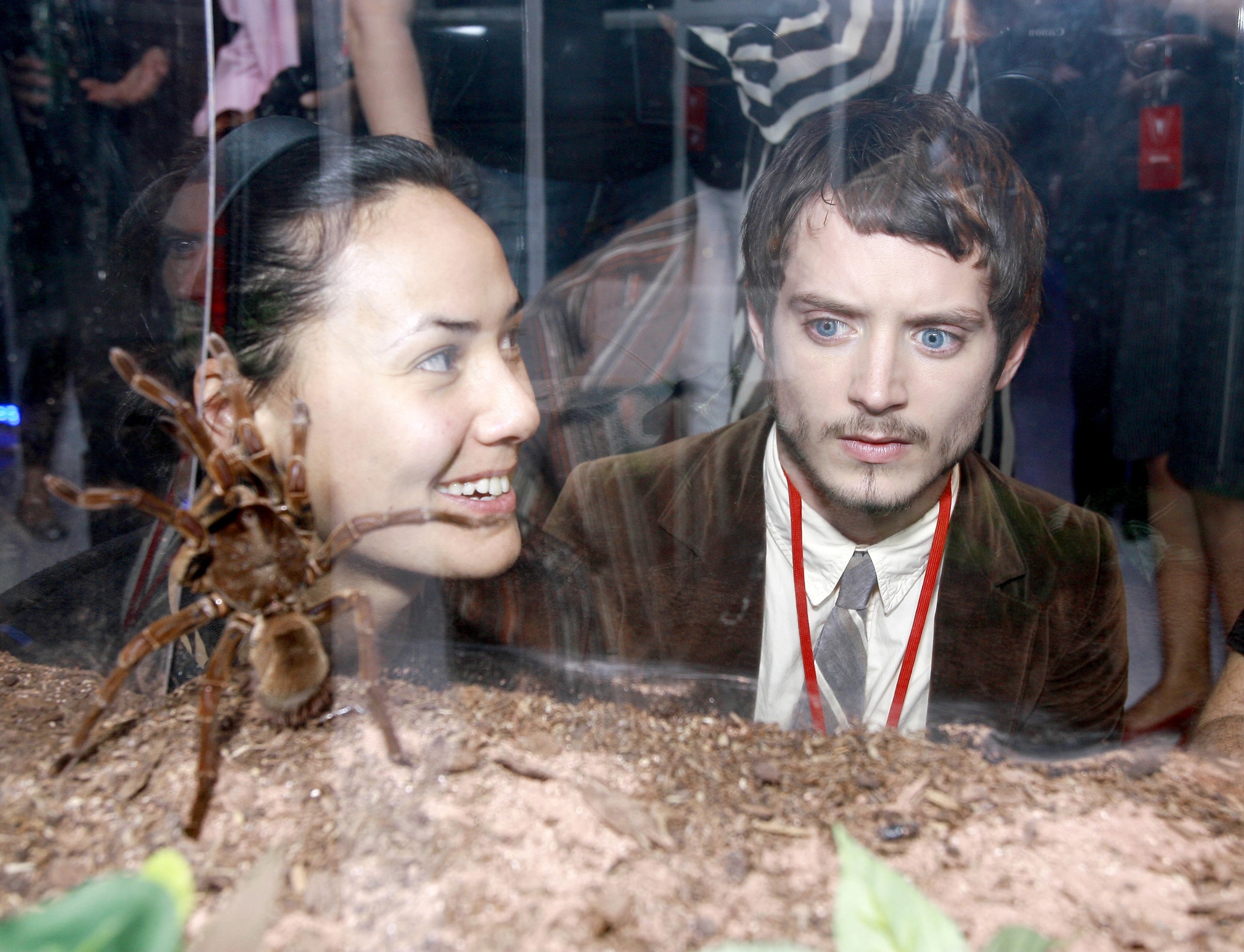 Spiderman3-007.jpg