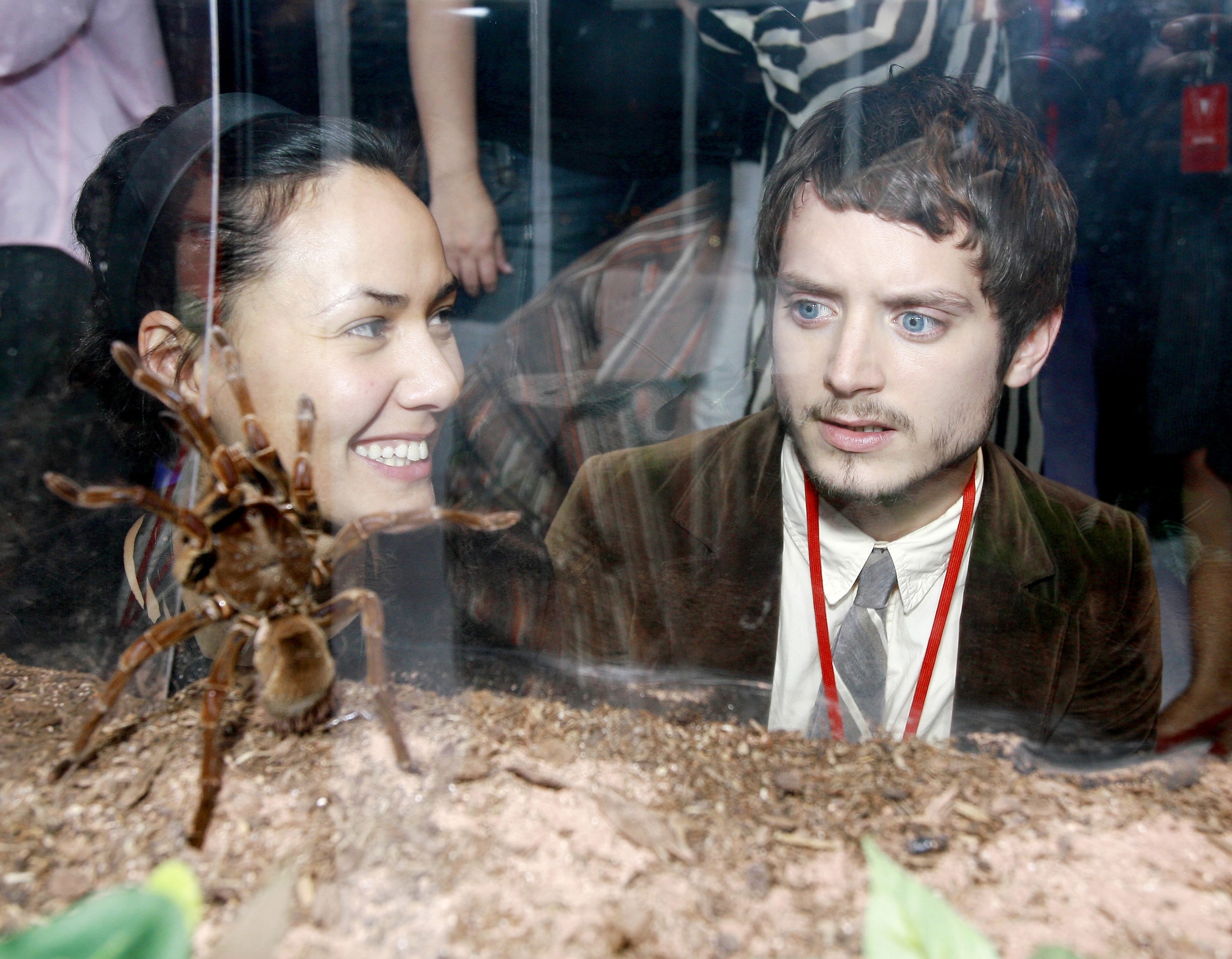 Spiderman3-008.jpg