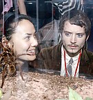 Spiderman3-001.jpg