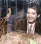 Spiderman3-002.jpg