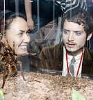Spiderman3-008.jpg