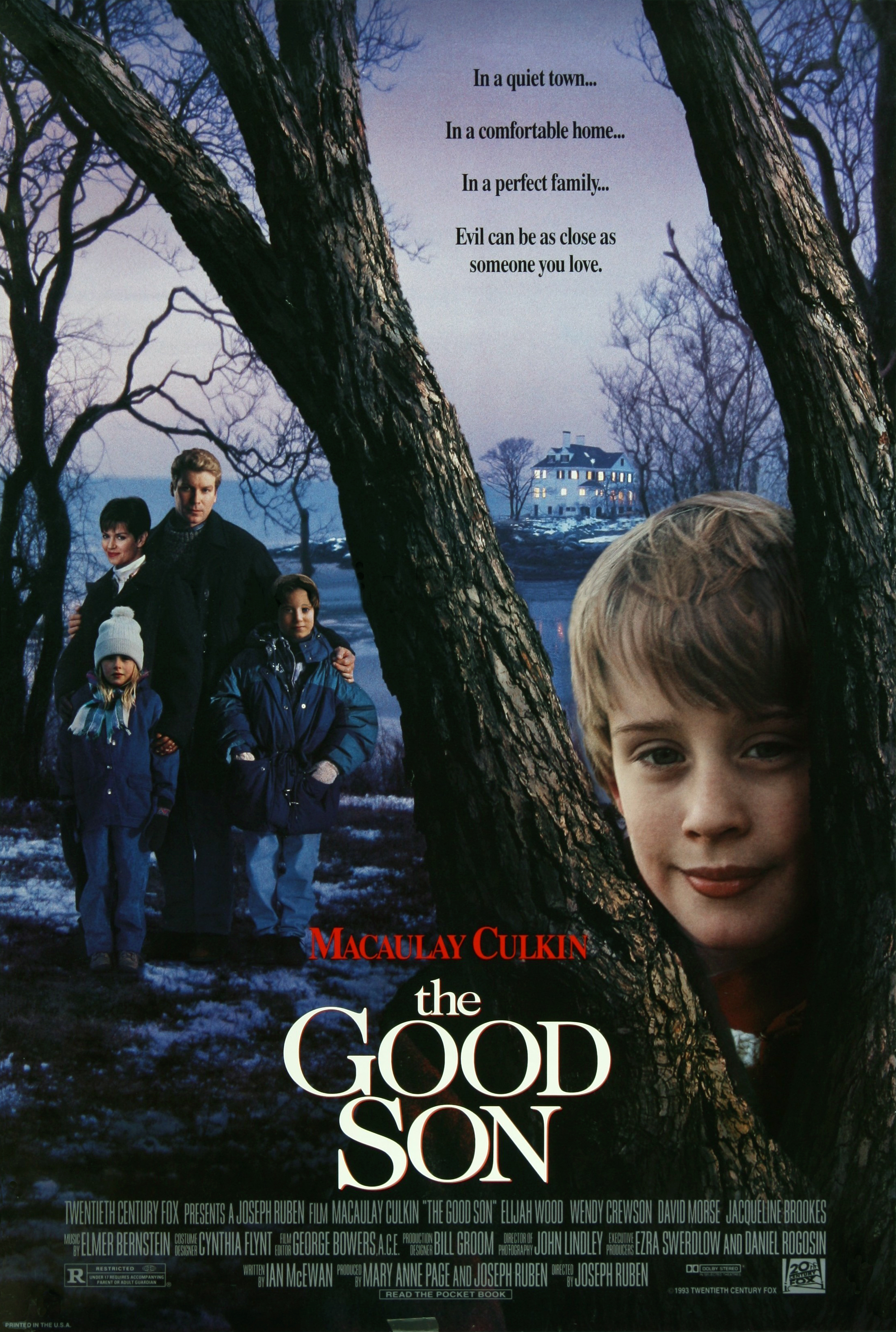 The Good Son