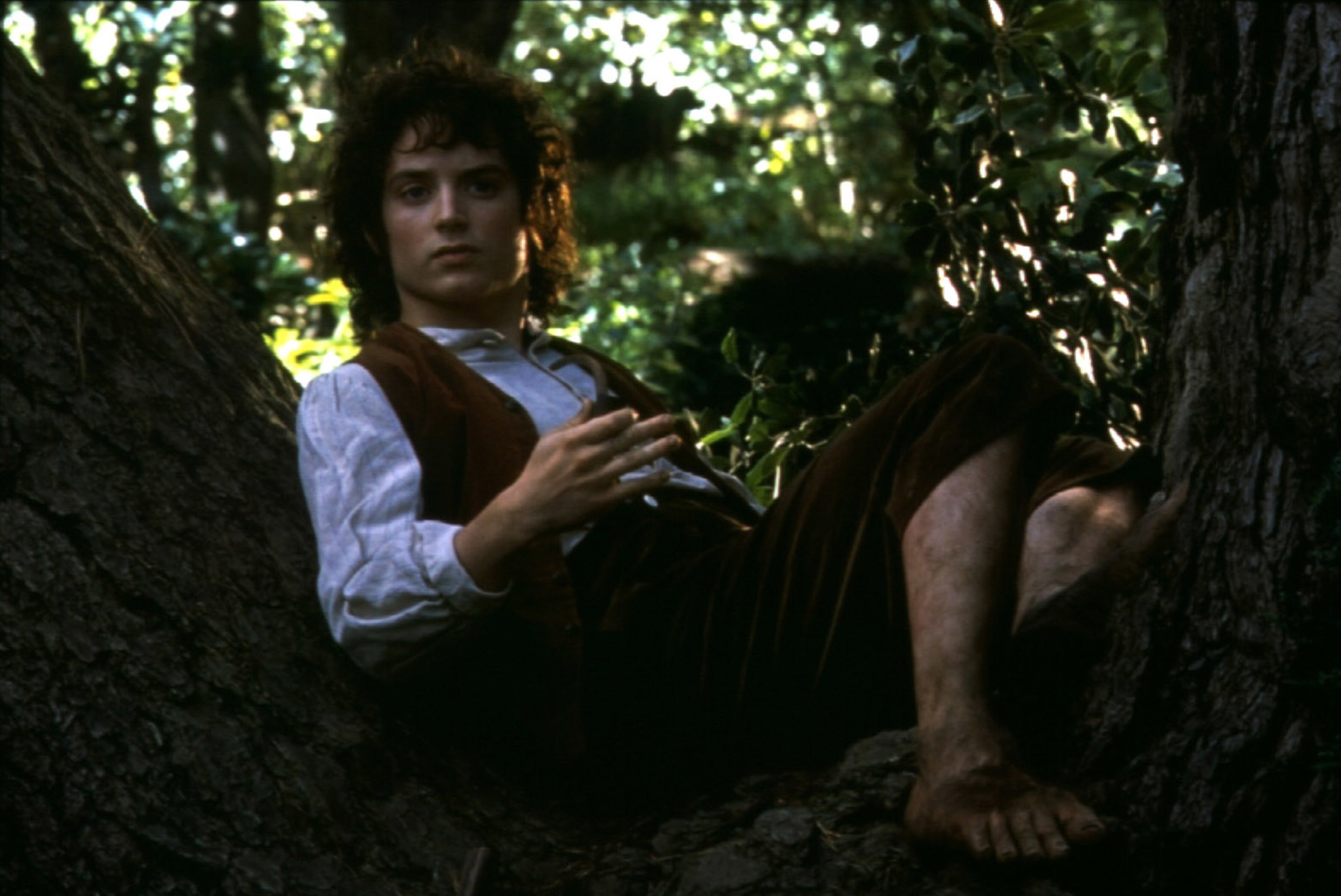 Frodo_28229.jpg Frodo_28229.jpg