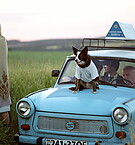 Filename=Everythingis_28129.jpg
Filesize=658KiB
Dimensions=2048x1344
Date added=Feb 14, 2015 Everythingis_28129.jpg