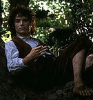 Frodo_28229.jpg