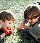 Filename=Radio_Flyer_28529.jpg
Filesize=201KiB
Dimensions=1418x921
Date added=Oct 06, 2013 Radio_Flyer_28529.jpg