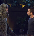 Wilfred_Season_3_282329.jpg